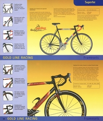 Gazelle 2004 Dealer Book