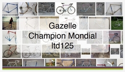 Gazelle Champion Mondial Ltd125